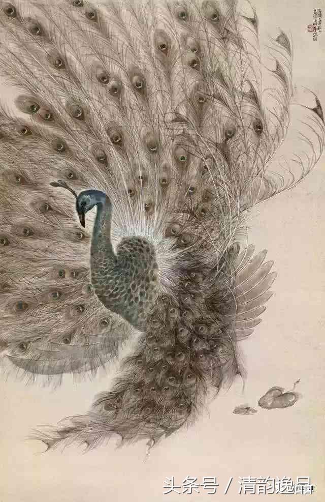 十大写意花鸟画名家,八大花鸟画高清大图