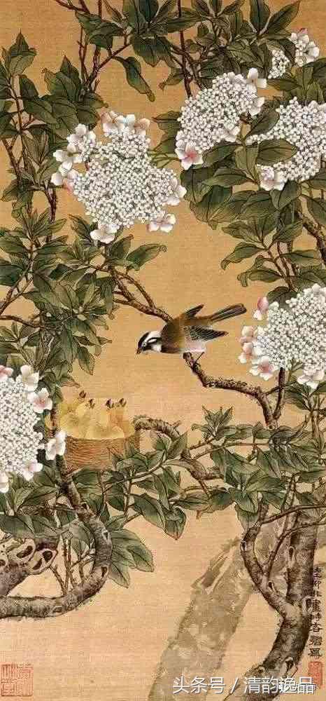 十大写意花鸟画名家,八大花鸟画高清大图