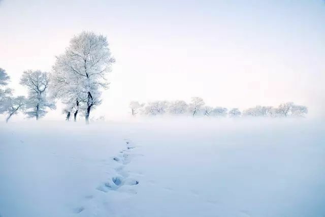 燕山诗社精品诗词,燕山诗社的诗