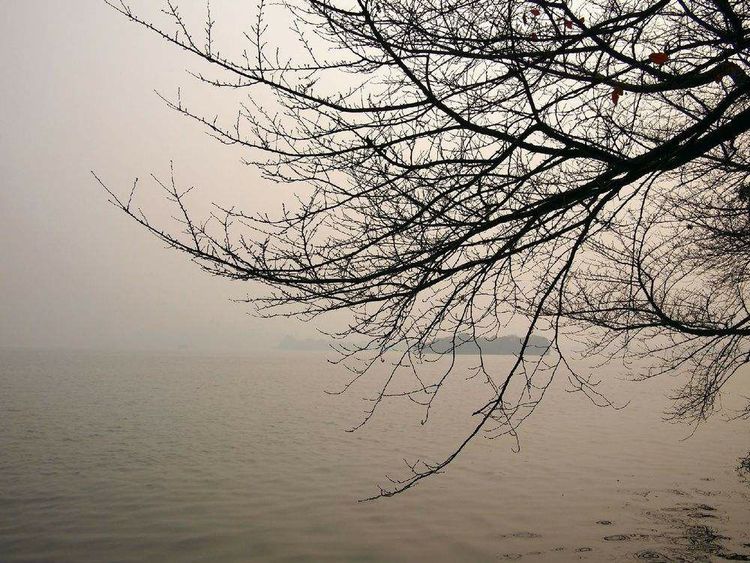 燕山诗社精品诗词,燕山诗社的诗