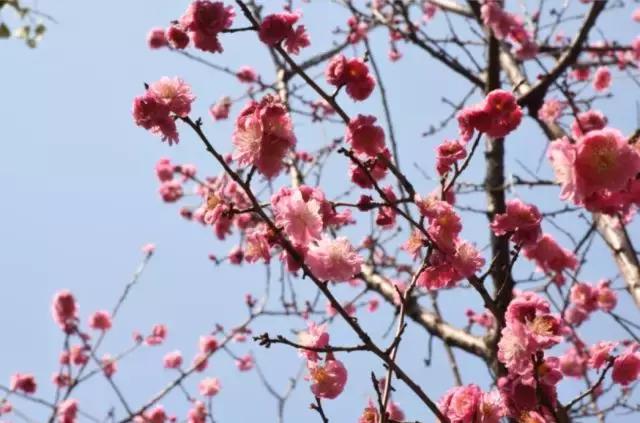 如果你是个正宗的雅安人，这6点吐槽一定有你！