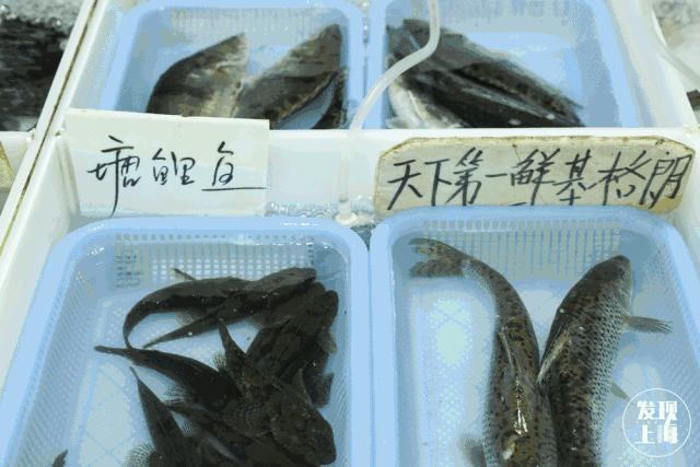 上海现存老菜场,上海最老菜市场