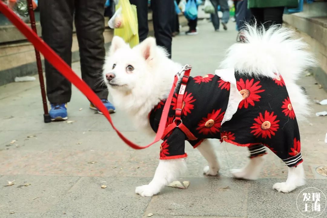 上海现存老菜场,上海最老菜市场