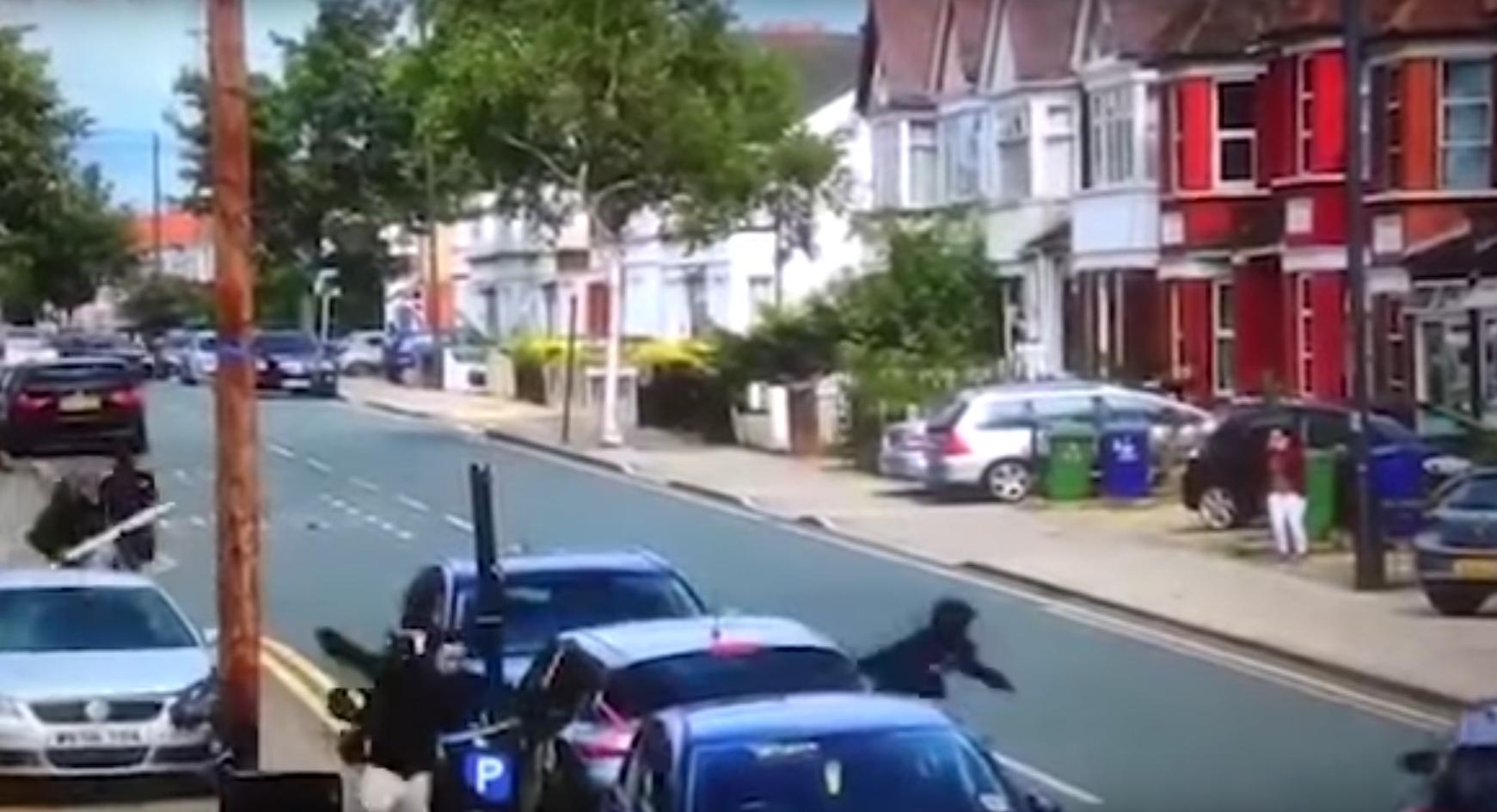 老师为教学会生自学35门语言，网友却说：真想扇自己老师一巴掌！