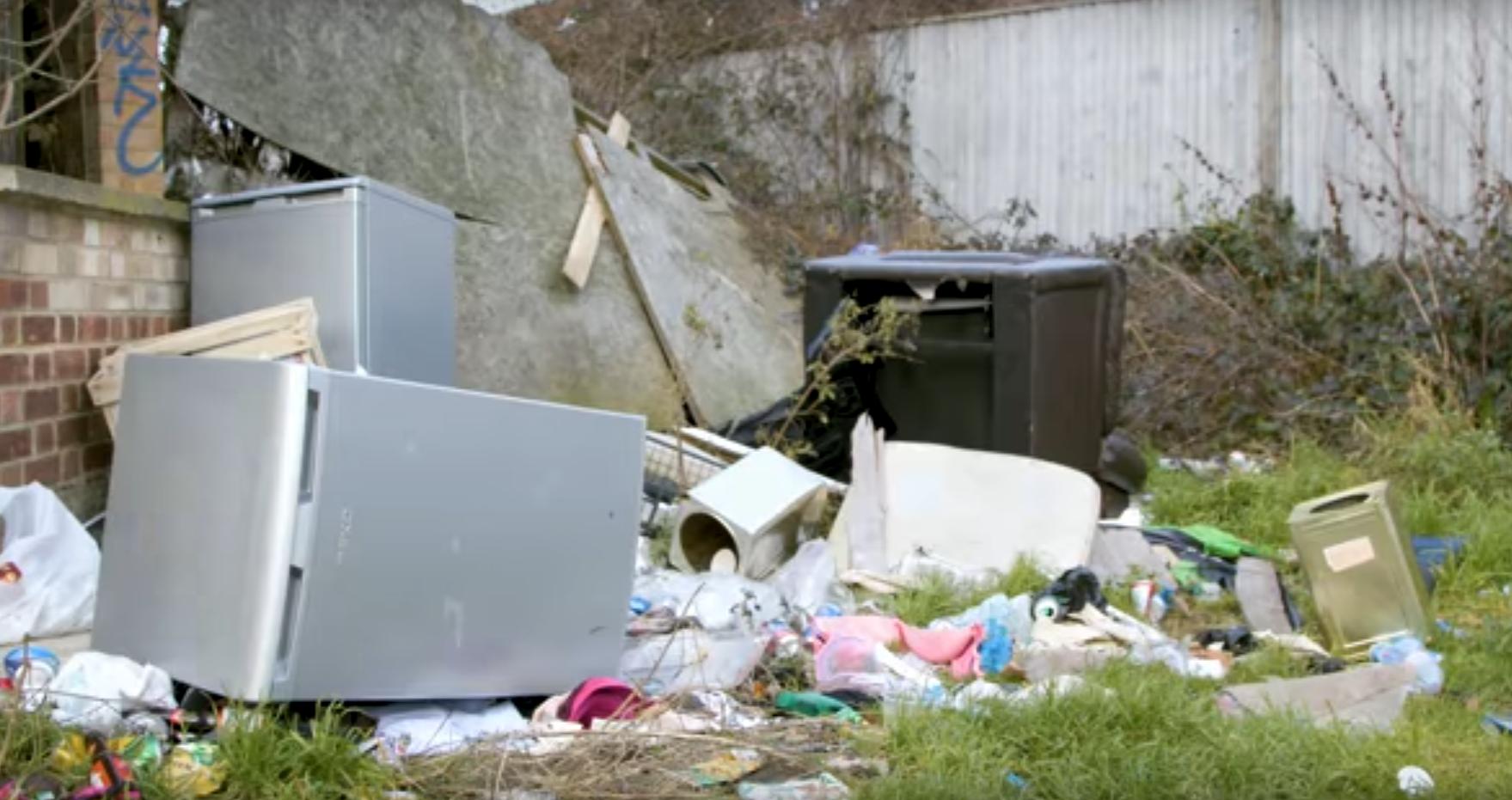 老师为教学会生自学35门语言，网友却说：真想扇自己老师一巴掌！