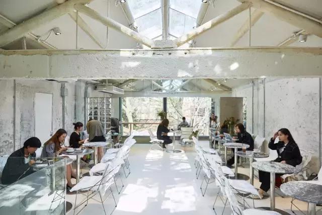 上海网红路前十名,上海网红马路