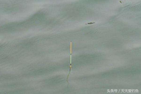 浮钓怎么避免走漂,如何解决浮钓走漂