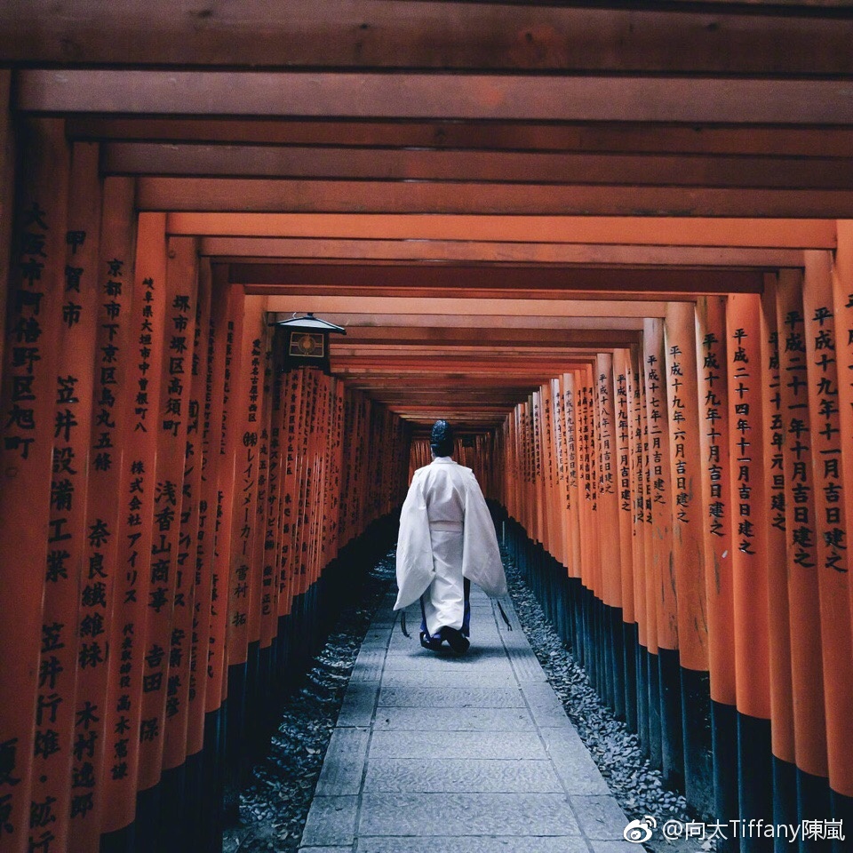 向太陈岚四川话,向太人生哲理