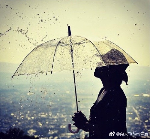 向太陈岚四川话,向太人生哲理