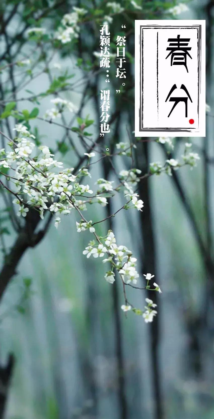 今日春分吃什么最养生,春分调理身体的最佳时间不要错过