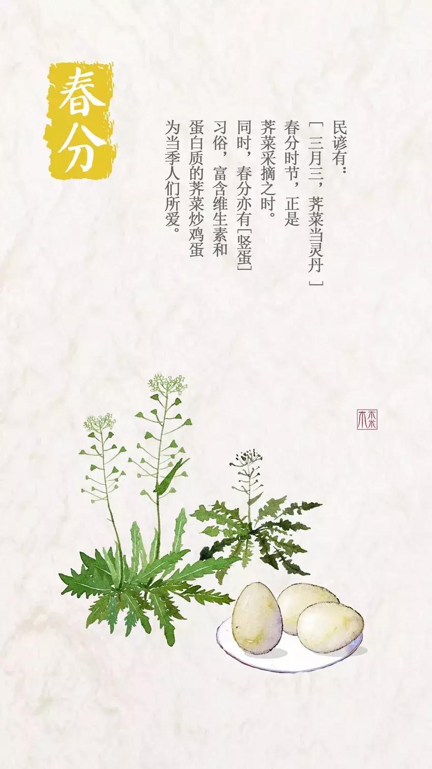 今日春分吃什么最养生,春分调理身体的最佳时间不要错过