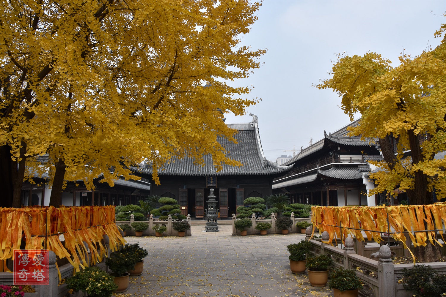 上海真如寺元代大殿,上海普陀真如寺大殿