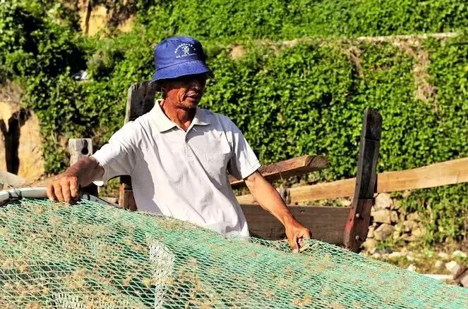 浙江禁渔期有哪些地方,禁渔期去海边吃海鲜贵吗