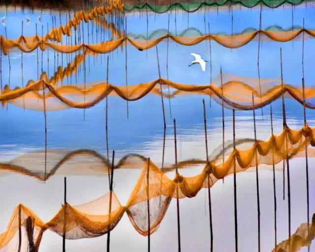 浙江禁渔期有哪些地方,禁渔期去海边吃海鲜贵吗