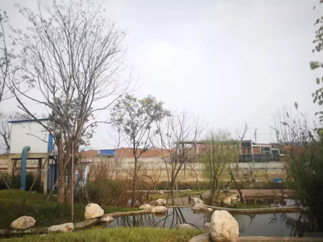 绿城惜败的战场旁将有两宗地入市：新川这147亩会书写怎样的剧情