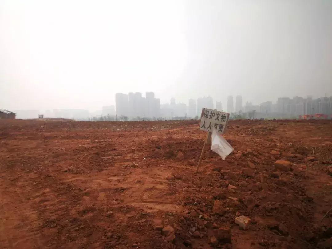 绿城惜败的战场旁将有两宗地入市：新川这147亩会书写怎样的剧情