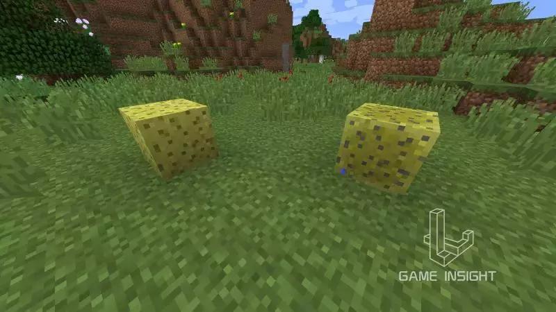 我的世界几个最稀有的方块,我的世界最罕见的四个物品