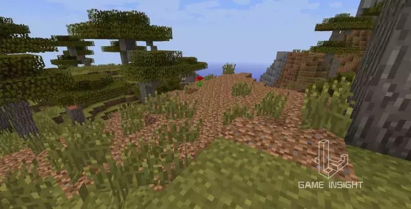 我的世界几个最稀有的方块,我的世界最罕见的四个物品