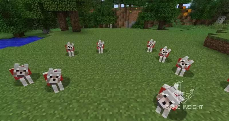 我的世界几个最稀有的方块,我的世界最罕见的四个物品