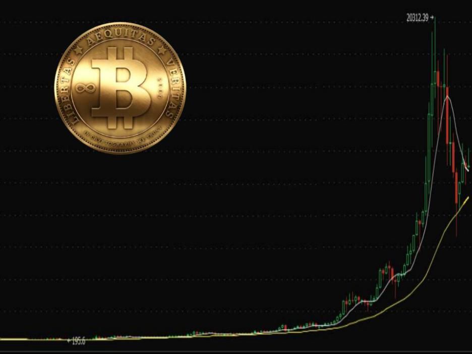 *币特比**:黎明前的黑暗还是水中之月?