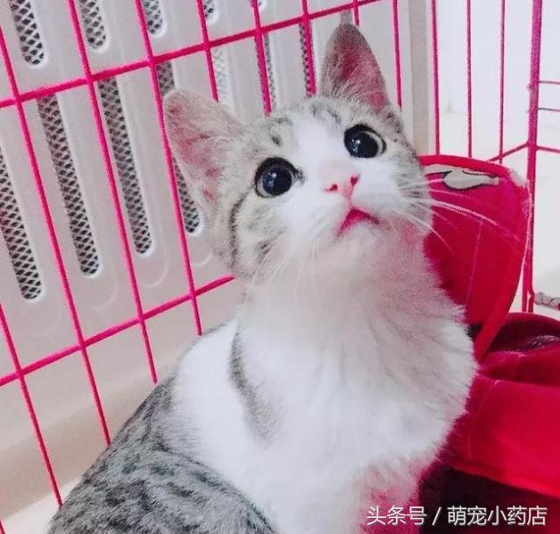 感谢你陪我走过人生这段路,感谢你陪我走在人生的低谷