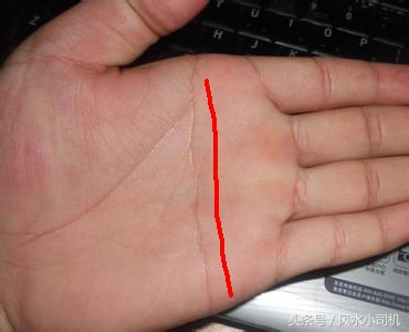 据说手相的掌纹决定你的命,手相有哪些特殊的掌纹