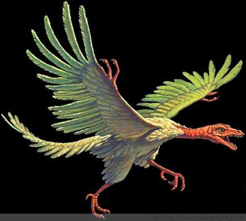 恐龙世界上最强的恐龙是什么恐龙,世界上超级大的恐龙是什么恐龙