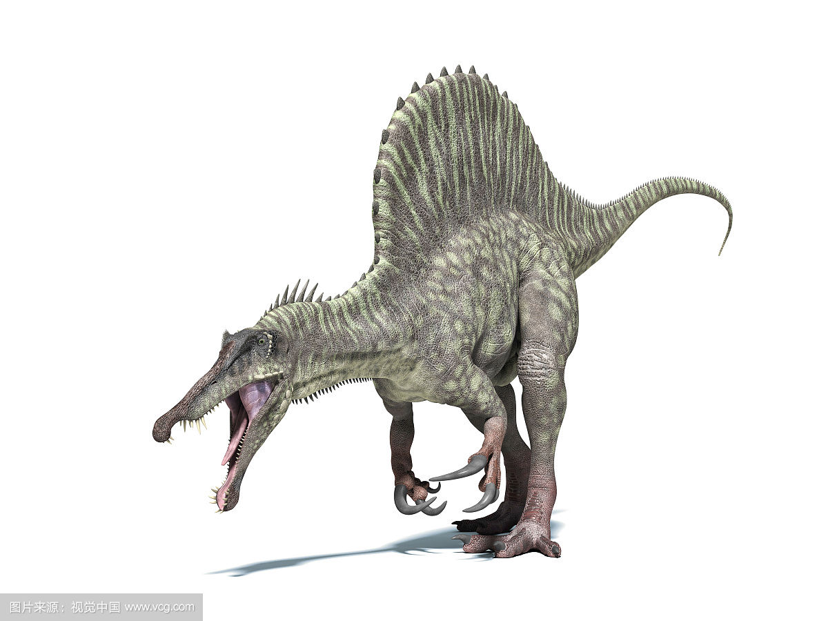 恐龙世界上最强的恐龙是什么恐龙,世界上超级大的恐龙是什么恐龙