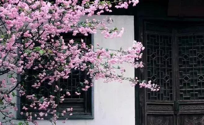 古代家风家训的小故事,古代家规家训家风