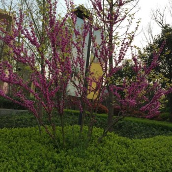 美得不像是实力派,美得不像真实风景