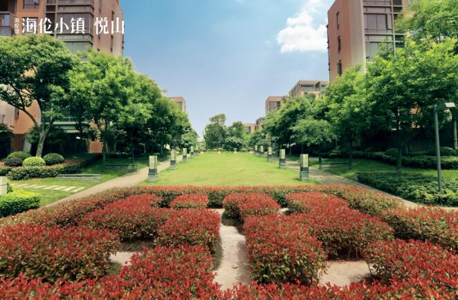 美得不像是实力派,美得不像真实风景