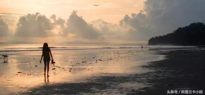 鍑哄浗鏃呮父娓ｇ敺,鏃呮父鍑鸿建澶栧浗浜虹殑妗堜緥