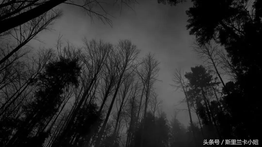 鍑哄浗鏃呮父娓ｇ敺,鏃呮父鍑鸿建澶栧浗浜虹殑妗堜緥