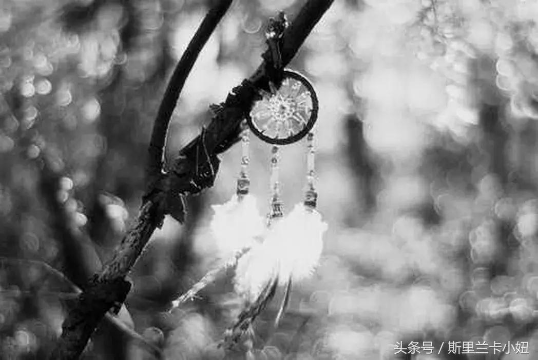 鍑哄浗鏃呮父娓ｇ敺,鏃呮父鍑鸿建澶栧浗浜虹殑妗堜緥