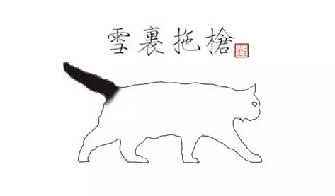 猫谱：因相成名，因名成谱《蓝毛毛找猫》24：猫出有名