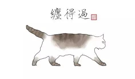 猫谱：因相成名，因名成谱《蓝毛毛找猫》24：猫出有名