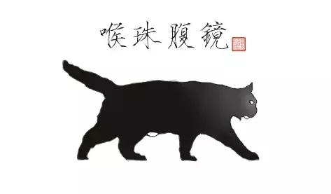 猫谱：因相成名，因名成谱《蓝毛毛找猫》24：猫出有名