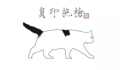 猫谱：因相成名，因名成谱《蓝毛毛找猫》24：猫出有名