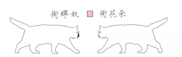 猫谱：因相成名，因名成谱《蓝毛毛找猫》24：猫出有名