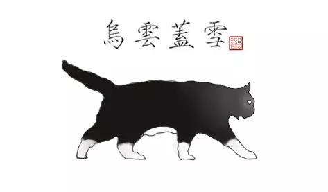 猫谱：因相成名，因名成谱《蓝毛毛找猫》24：猫出有名