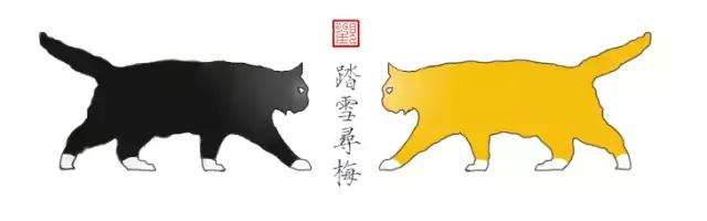 猫谱：因相成名，因名成谱《蓝毛毛找猫》24：猫出有名
