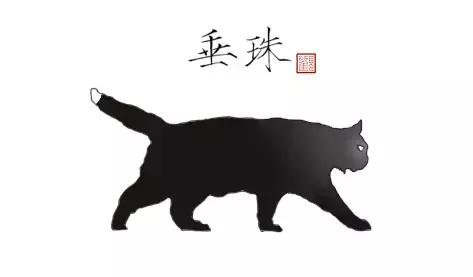 猫谱：因相成名，因名成谱《蓝毛毛找猫》24：猫出有名