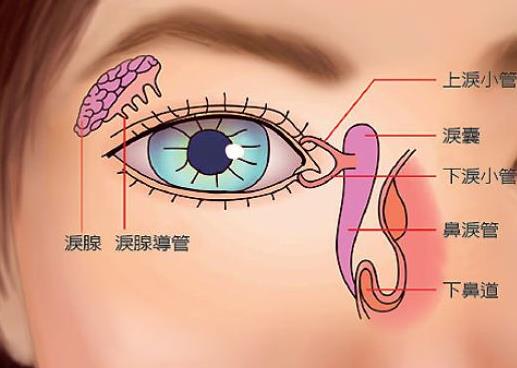 埋地雷儿童,埋地雷的小孩