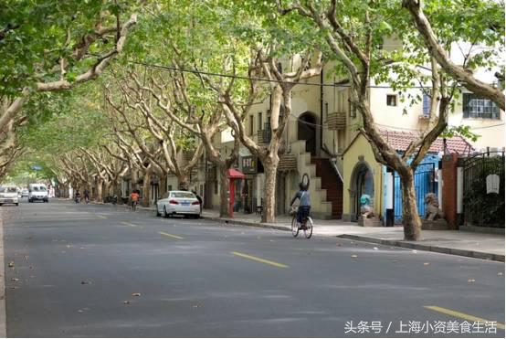 上海网红马路,上海网红马路一览表