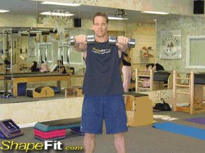 女生新手减脂健身一周训练计划,一周减脂训练计划食谱