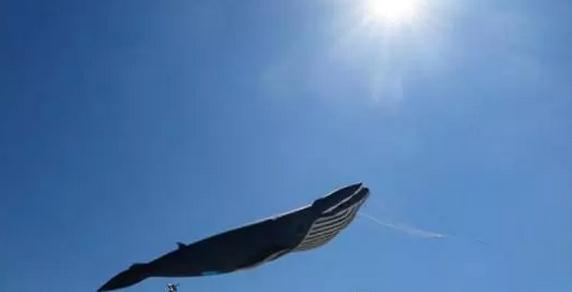 澳洲大学申请工作证明