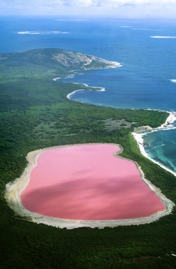 澳洲大学申请工作证明