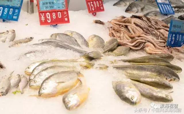 天津滨海新区有什么行业可以做,天津滨海新区有什么行业