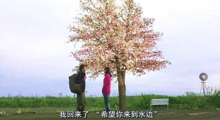 盘点不能错过的番剧,日剧2020天花板少女心