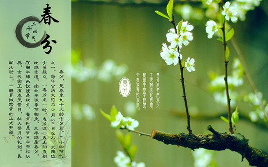 今日春分丨序多多有一份小程序福利包送给你,主题:浪!